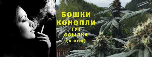 прущие крисы Пересвет