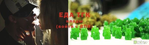 прущий лед Алзамай