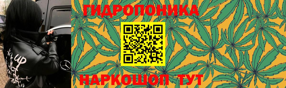 Бошки Шишки планчик Салават